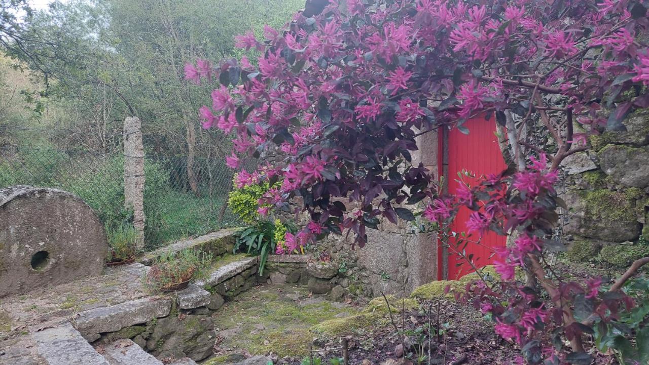 발렌사 Moinho Do Formigal 아파트 외부 사진
